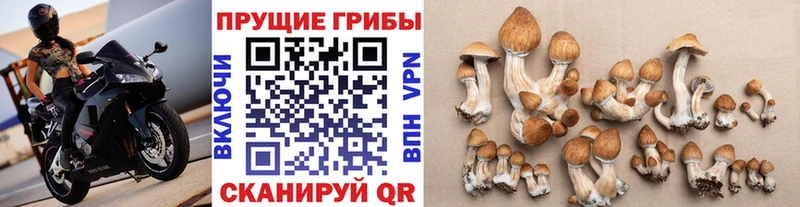 Галлюциногенные грибы мухоморы  где продают наркотики  Северобайкальск 